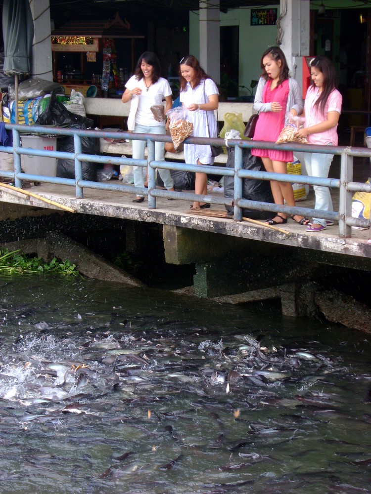 Thewet Pier